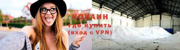 дживик Абаза