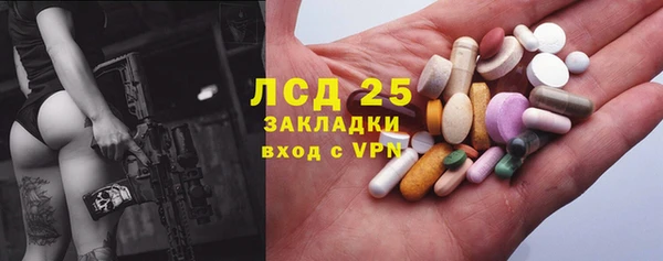 дживик Абаза