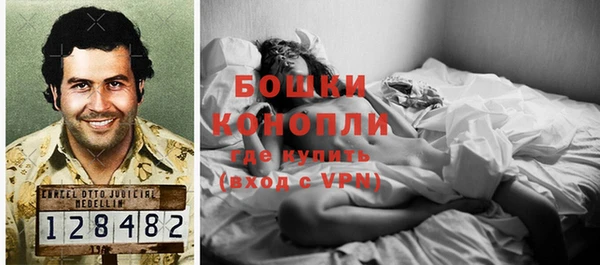 дживик Абаза