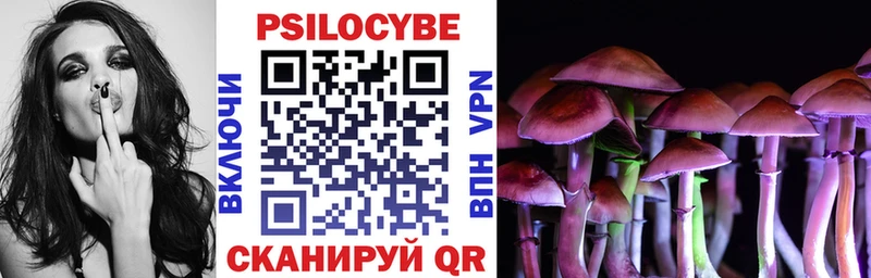 купить  сайты  Поворино  Галлюциногенные грибы Cubensis 